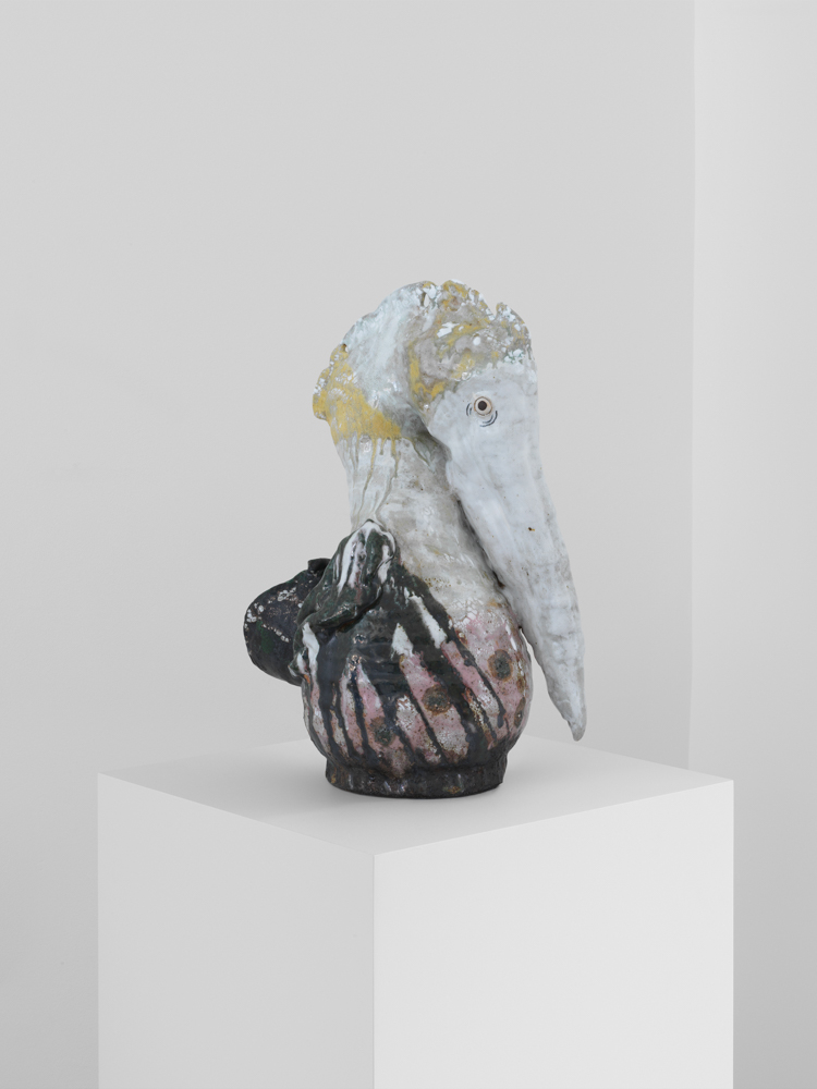 Yellow Bonnet Pelican, 2018