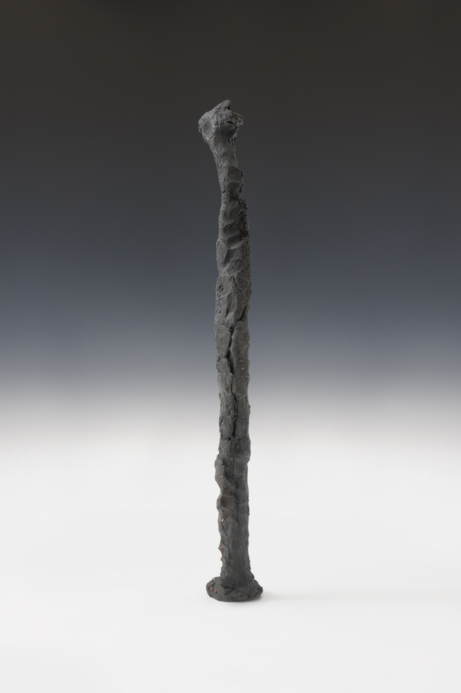 CLUB (6724), 2018
